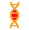 dna.png